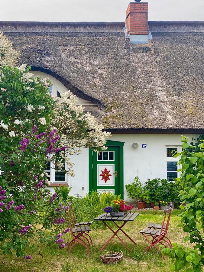 Ferienwohnung Sierke Wieck Exterior foto